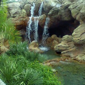 Meet your Posher, Deb